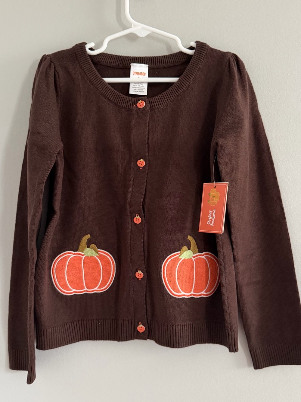Gymboree Pumpkin Sweater